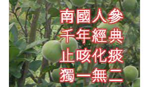 ̵ֹ һ޶