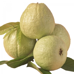 ժƷʯĺİ